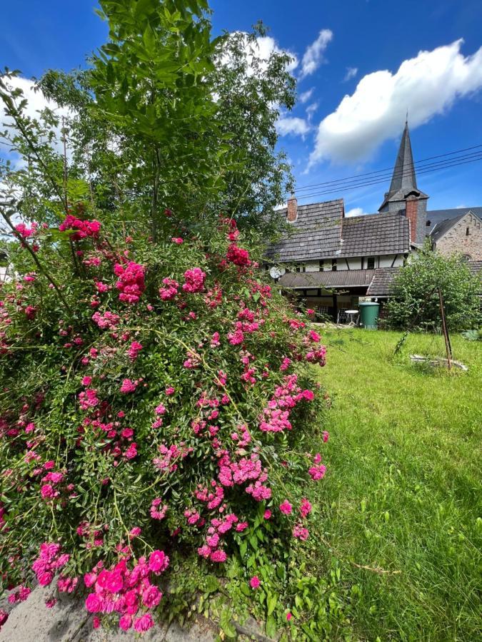 Вилла 300 Jahre Altes Renoviertes Fachwerkhaus Peterslahr Экстерьер фото